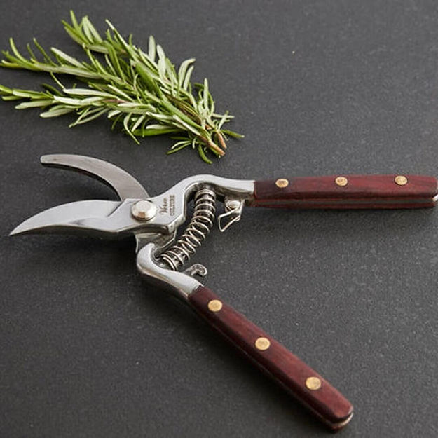 Verve Culture Thai Kitchen & Garden Shears